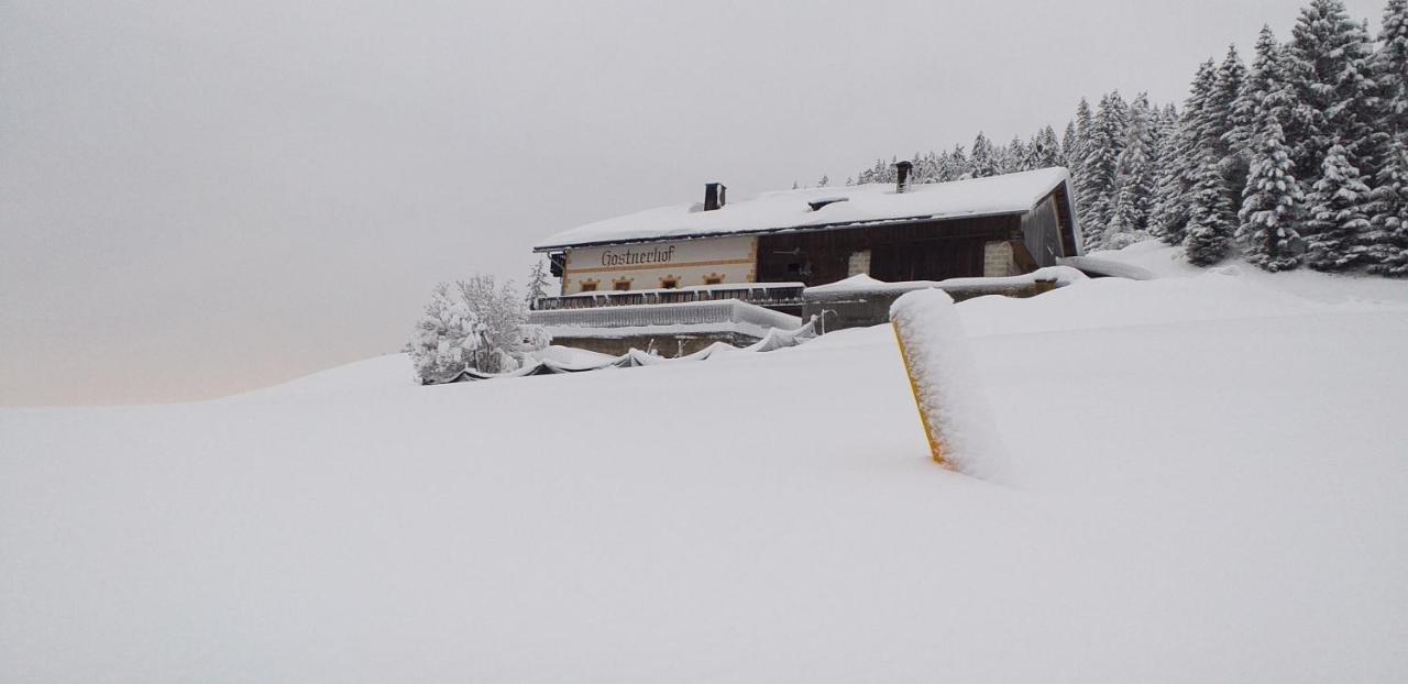 Gostnerhof Dobbiaco Exterior foto