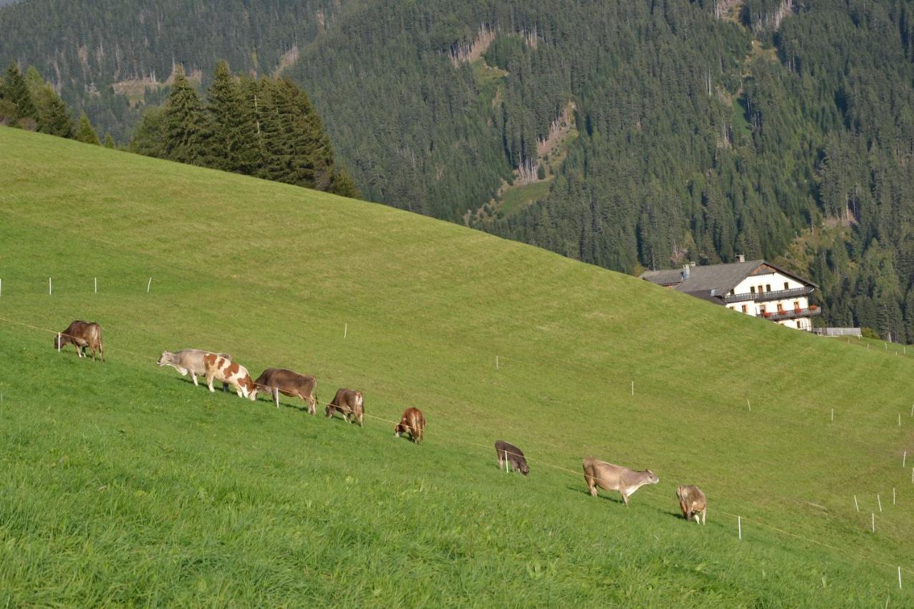 Gostnerhof Dobbiaco Exterior foto